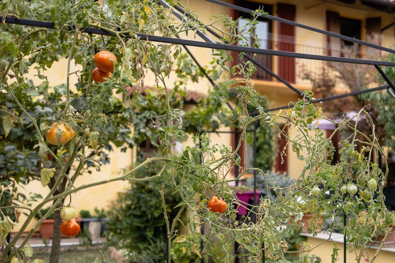 La Valle B&B Asti Exteriör bild