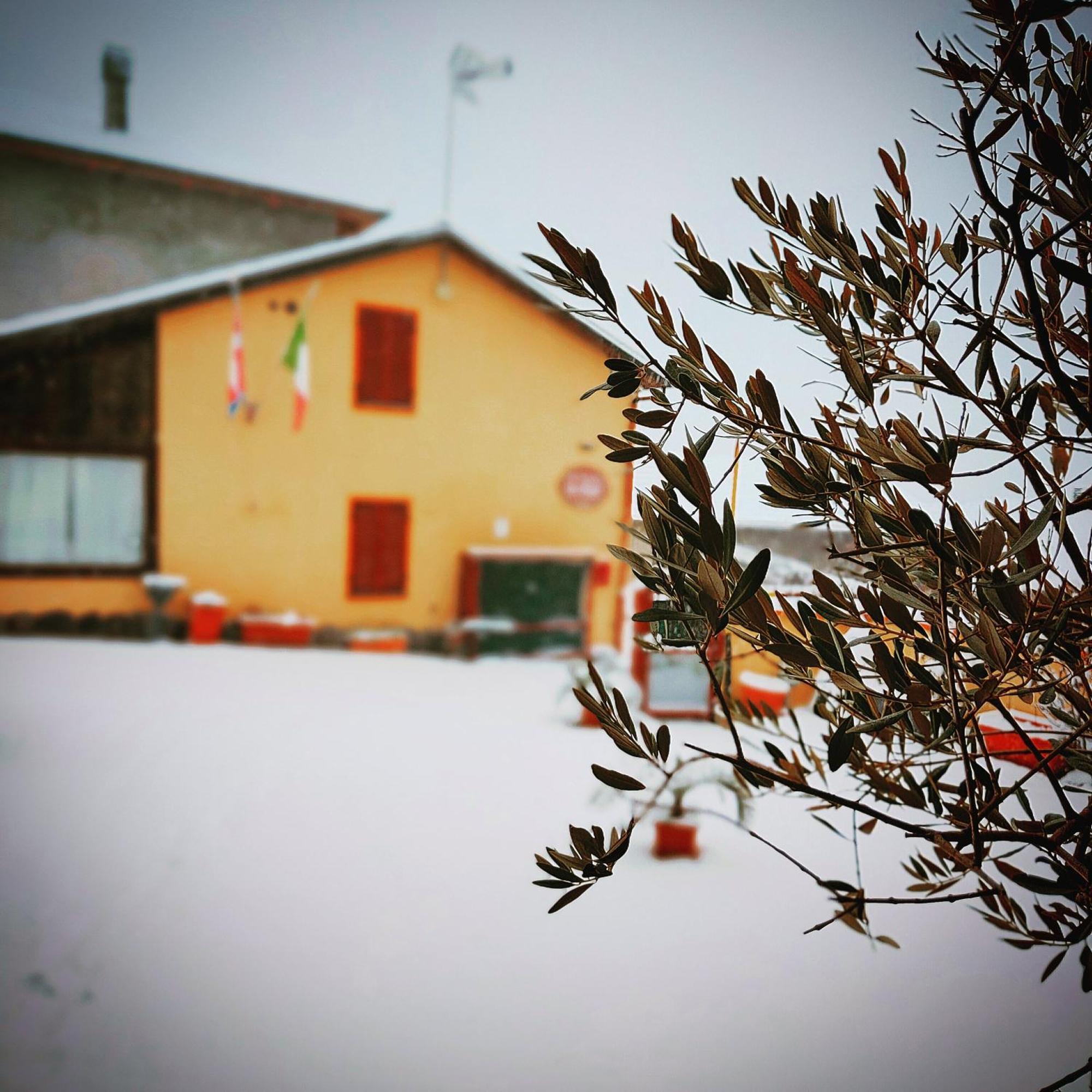 La Valle B&B Asti Exteriör bild